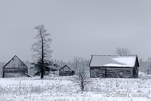Three Log Barns_12490.jpg - Photographed near Constance Bay, Ontario, Canada.